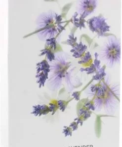 Goedkoop ???? Yardley London Yardley EL 3x100g Soap ???? 12 Goedkoop ???? Yardley London Yardley EL 3x100g Soap ???? -Jean Paul Gaultier Shop 416x840 3