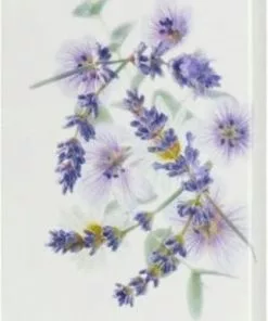 Goedkoop ???? Yardley London Yardley EL 3x100g Soap ???? 13 Goedkoop ???? Yardley London Yardley EL 3x100g Soap ???? -Jean Paul Gaultier Shop 419x840 2