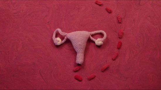 Kopen ???? Eco Femme Wasbare Inlegkruisjes 3 Stuks (met Pul) - 100% Biologisch Katoen - Wit ❤️ 2 Kopen ???? Eco Femme Wasbare Inlegkruisjes 3 Stuks (met Pul) - 100% Biologisch Katoen - Wit ❤️ - Afbeelding 2