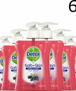 Nieuw ???? Dettol Handzeep - Winterbessen - 250ml X6 - Grootverpakking ????