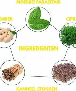 Groothandel ???? Sevich® Haaruitval Behandeling - Haarverzorging Shampoo - Anti Haaruitval Shampoo - Natuurlijke Ingrediënten - Veilig Om Te Gebruiken ❤️ -Jean Paul Gaultier Shop 550x533 4