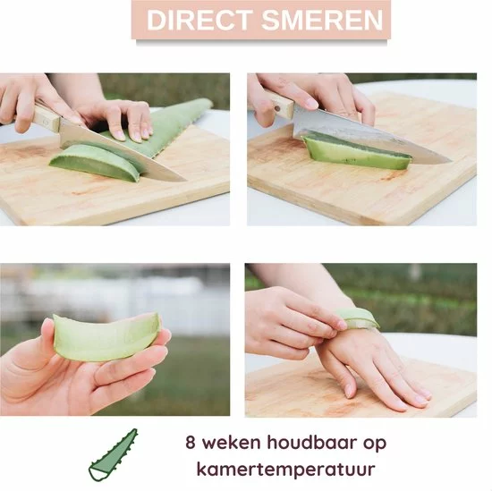 Kopen ???? Dr. Green® 1x Aloë Vera Blad Met Handleiding - Voor Huid, Haar, Acne & Meer - Gezicht Masker Maken - Puur Gel En 100% Biologisch ???? 3 Kopen ???? Dr. Green® 1x Aloë Vera Blad Met Handleiding - Voor Huid, Haar, Acne & Meer - Gezicht Masker Maken - Puur Gel En 100% Biologisch ???? - Afbeelding 3