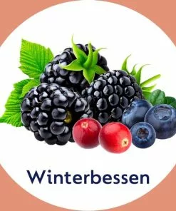 Nieuw ???? Dettol Handzeep - Winterbessen - 250ml X6 - Grootverpakking ???? 13 Nieuw ???? Dettol Handzeep - Winterbessen - 250ml X6 - Grootverpakking ???? -Jean Paul Gaultier Shop 550x549 55