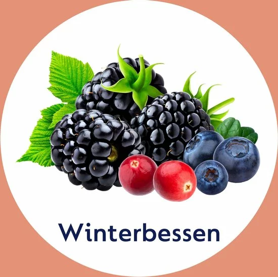 Nieuw ???? Dettol Handzeep - Winterbessen - 250ml X6 - Grootverpakking ???? 6 Nieuw ???? Dettol Handzeep - Winterbessen - 250ml X6 - Grootverpakking ???? - Afbeelding 6