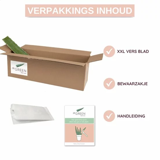 Kopen ???? Dr. Green® 1x Aloë Vera Blad Met Handleiding - Voor Huid, Haar, Acne & Meer - Gezicht Masker Maken - Puur Gel En 100% Biologisch ???? 9 Kopen ???? Dr. Green® 1x Aloë Vera Blad Met Handleiding - Voor Huid, Haar, Acne & Meer - Gezicht Masker Maken - Puur Gel En 100% Biologisch ???? - Afbeelding 9