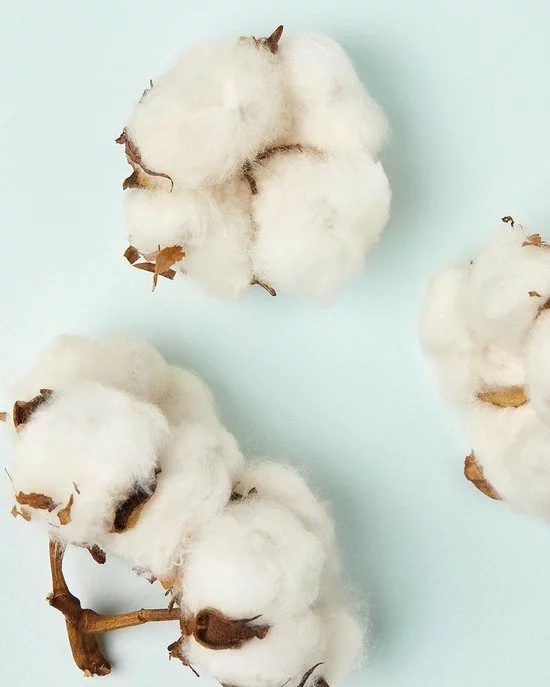 Groothandel ???? NIVEA Naturally Good Cotton Flower Douchegel - 6 X 300 Ml - Voordeelverpakking ???? 4 Groothandel ???? NIVEA Naturally Good Cotton Flower Douchegel - 6 X 300 Ml - Voordeelverpakking ???? - Afbeelding 4