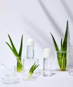 Kopen ???? NIVEA Naturally Good Bio Aloe Vera Deodorant Roller - 6 X 50 Ml - Voordeelverpakking ???? -Jean Paul Gaultier Shop 550x824 3